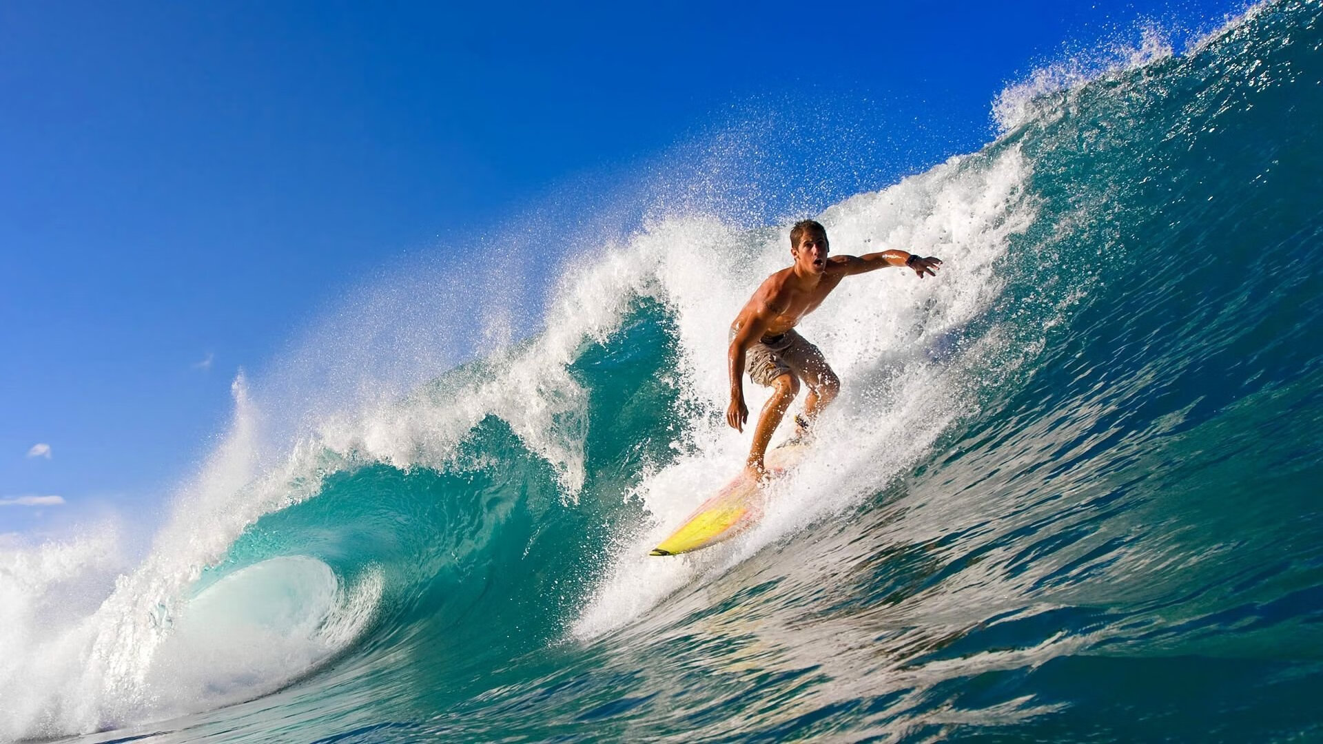 世界杯巅峰夜:破门、扑救、助攻精彩纷呈!,世界杯爆冷夺冠