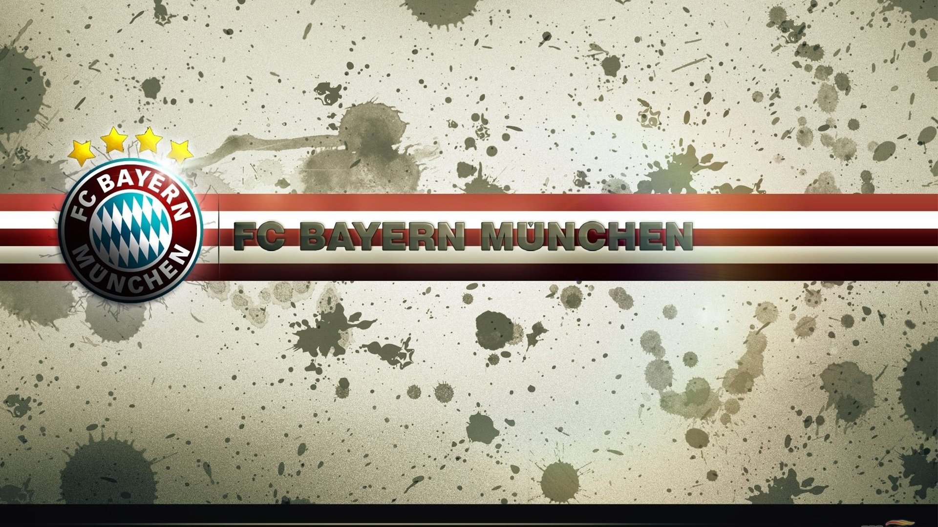 mk体育现在-张伟丽跨界主持格斗解说受好评，张伟丽的格斗比赛